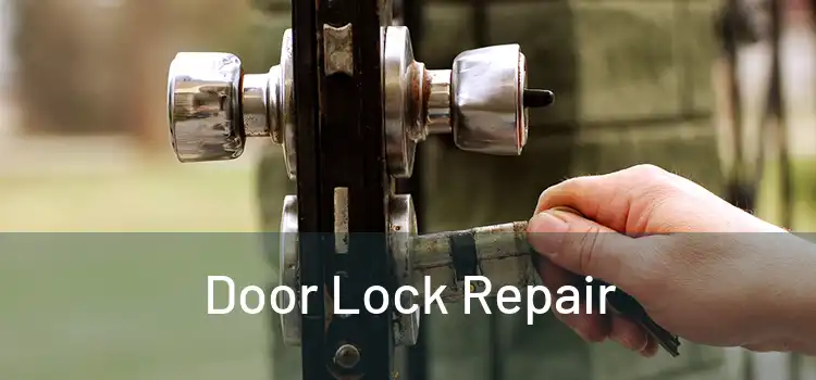 Door Lock Repair