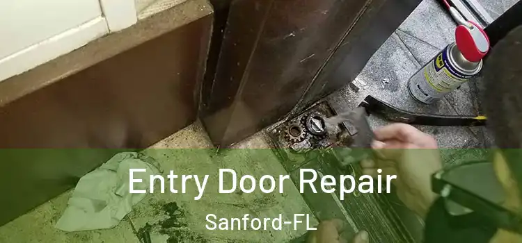  Entry Door Repair Sanford-FL
